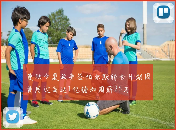 曼联今夏放弃签帕尔默转会计划因费用过高达1亿镑加周薪25万