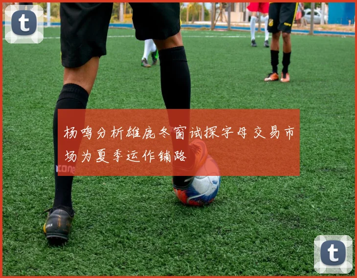 杨鸣分析雄鹿冬窗试探字母交易市场为夏季运作铺路