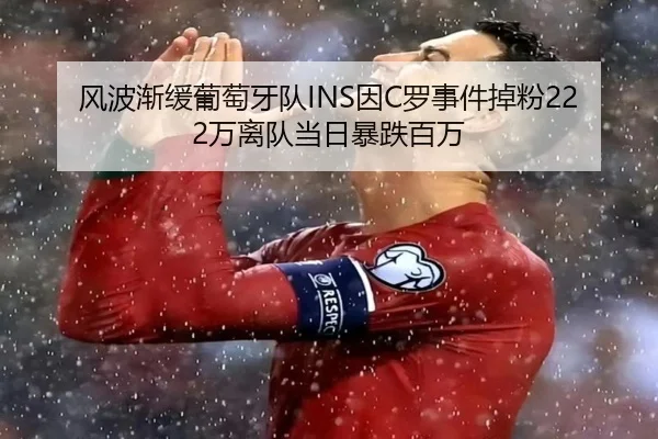 风波渐缓葡萄牙队INS因C罗事件掉粉222万离队当日暴跌百万 - leyu